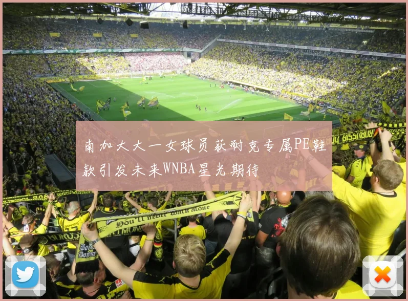 南加大大一女球员获耐克专属PE鞋款引发未来WNBA星光期待